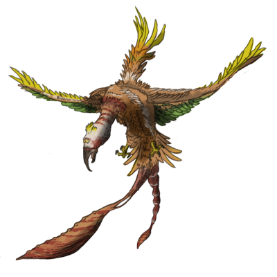 Sarcogyp